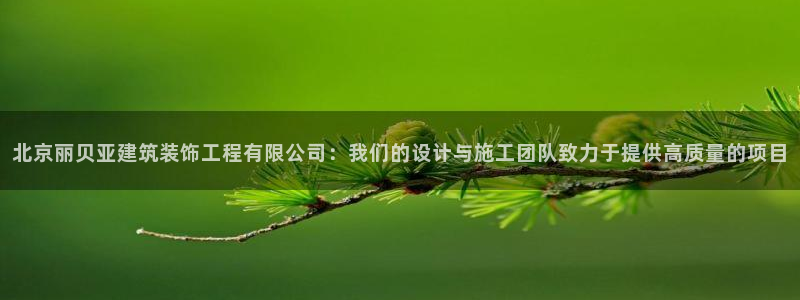 顺盈娱乐 找86555