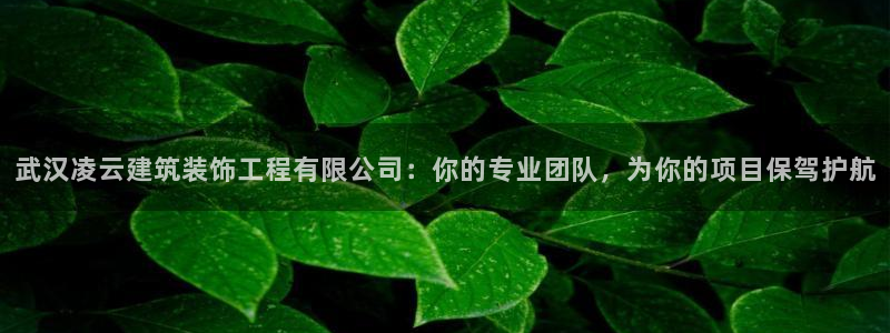 顺盈娱乐认究7276O