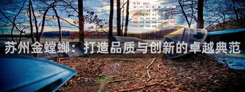 顺盈娱乐下载安装官方