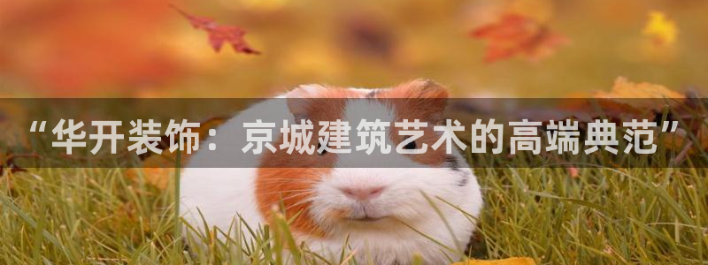 顺盈娱乐平台注册时间
