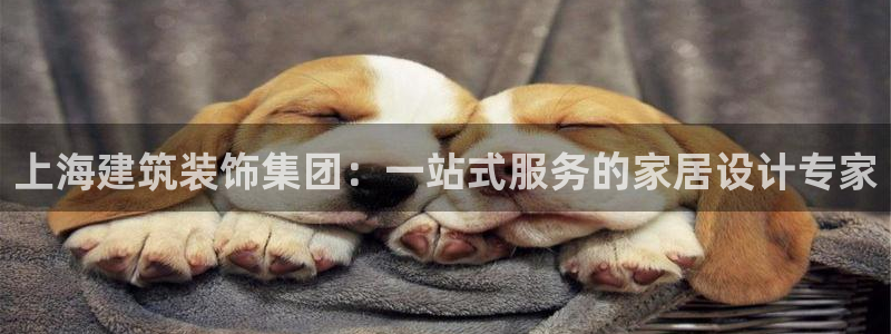 顺盈娱乐平台注册