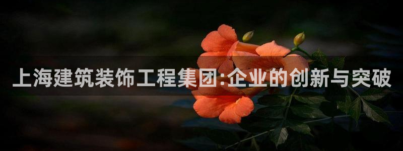 顺盈娱乐登录地址是什么