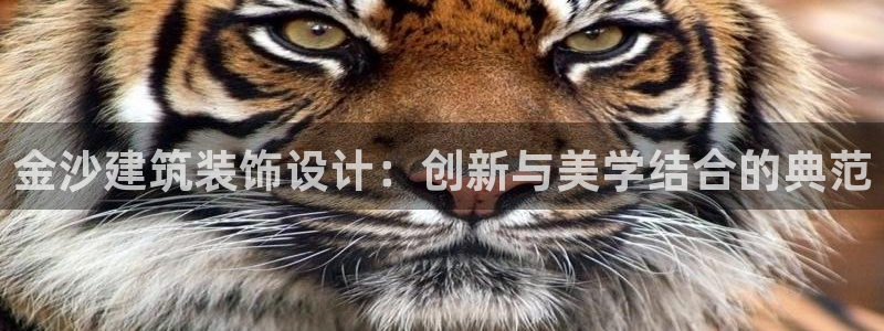 顺盈平台娱乐怎么样