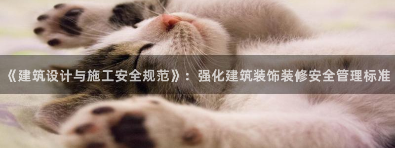 顺盈娱乐主管后原判官333OO