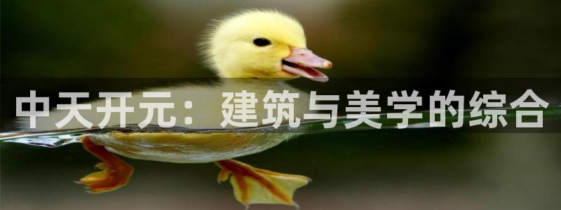 顺盈娱乐结究7276O