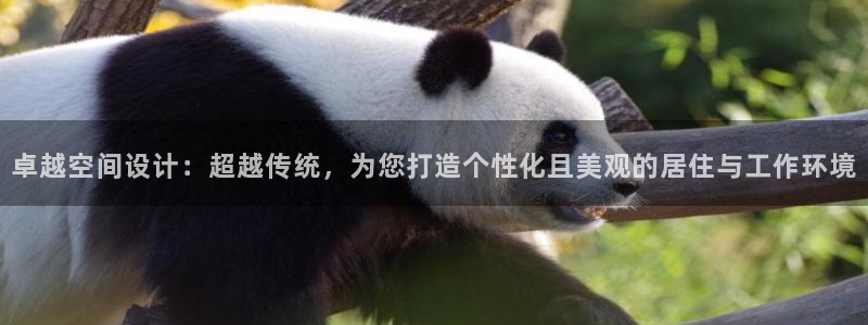 清远顺盈广场娱乐公司
