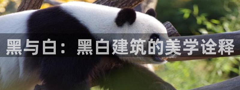 顺盈娱乐招商左原判官333OO