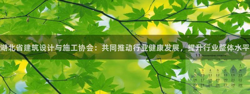 顺盈娱乐主管经判官333OO