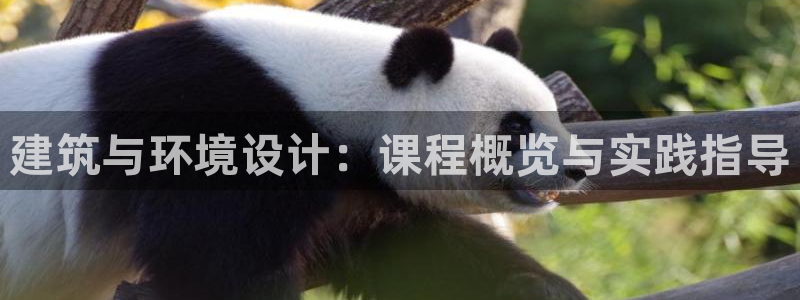 顺盈娱乐382223