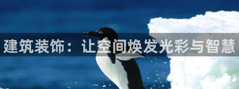 顺盈娱乐注册