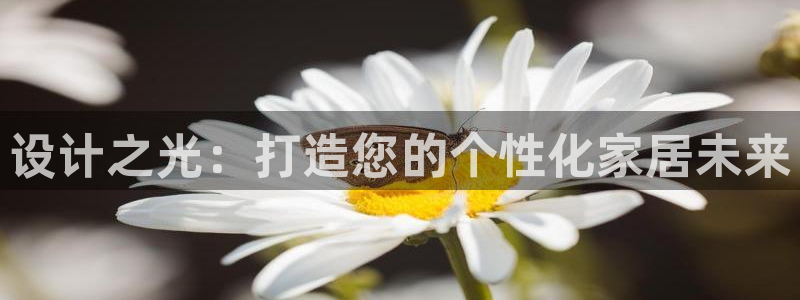 清远顺盈娱乐公司实习